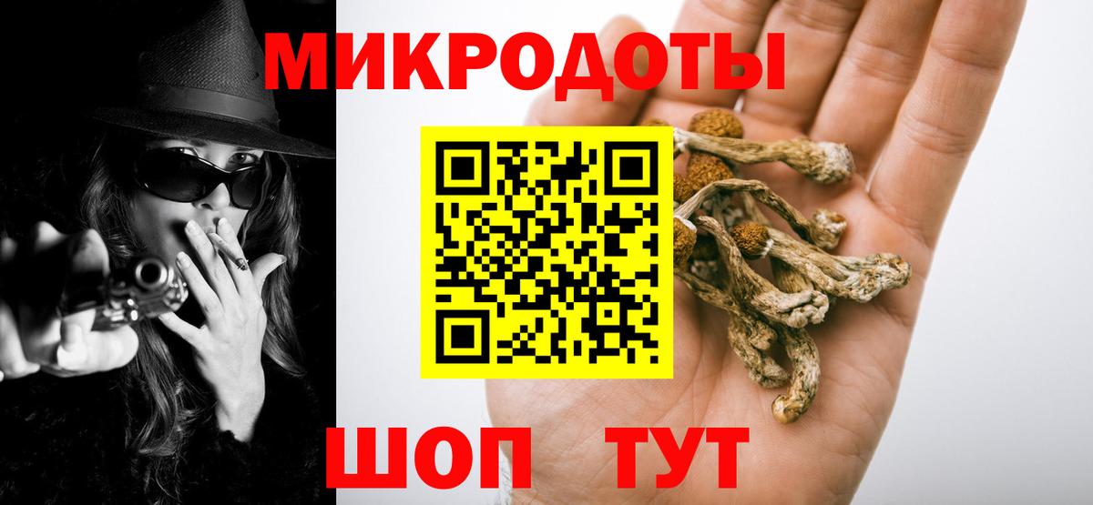 Галлюциногенные грибы Psilocybe Якутск